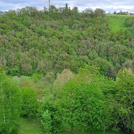 Agreable T2 Classe 3 Etoiles, Refait A Neuf, Dans Quartier Calme Rodez Exterior foto